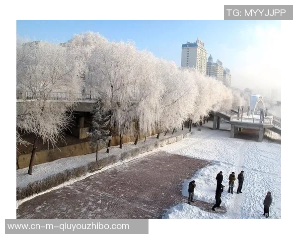 长春吧的魅力与挑战探讨如何在城市发展中寻找平衡与机遇